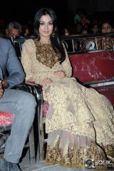 Catherine Tresa at Erra Bassu Movie Audio Launch